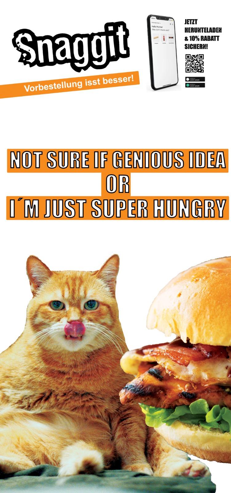 Früher Snaggit-Werbeentwurf mit Logo, QR-Code und einer Katze neben einem Burger.