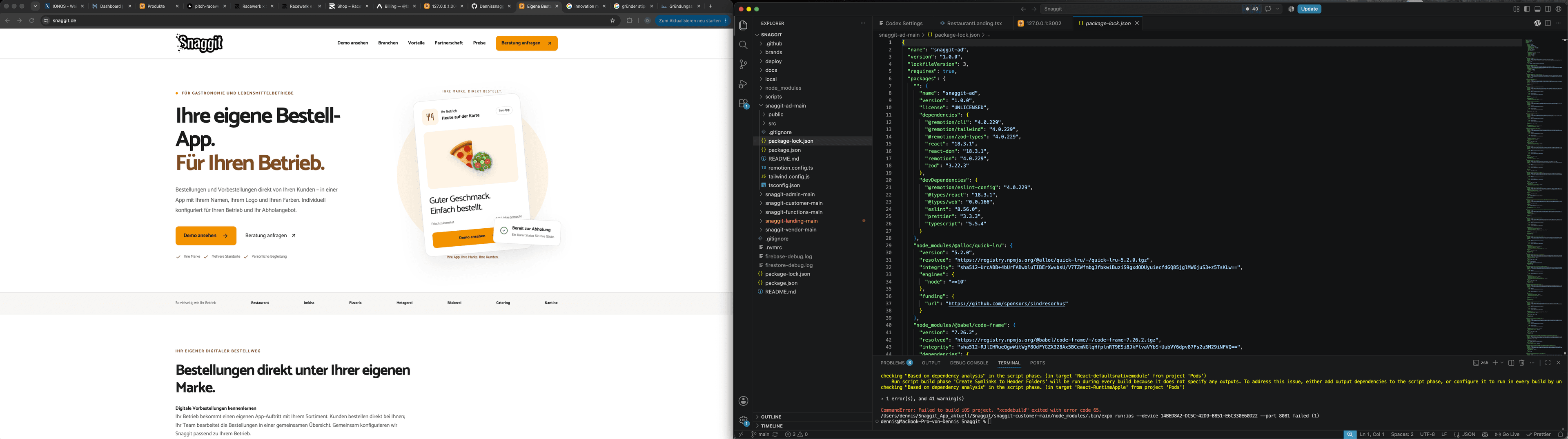 Die heutige Snaggit-Website neben dem geöffneten Codeprojekt im Editor.